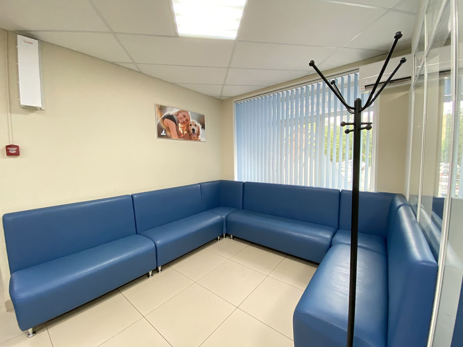 Ветеринарная клиника «Вега» на Пулковской