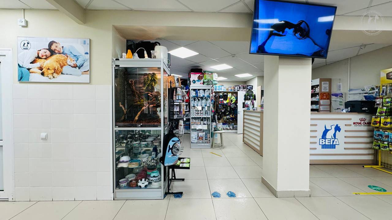 Ветеринарная клиника «Вега» на Пулковской