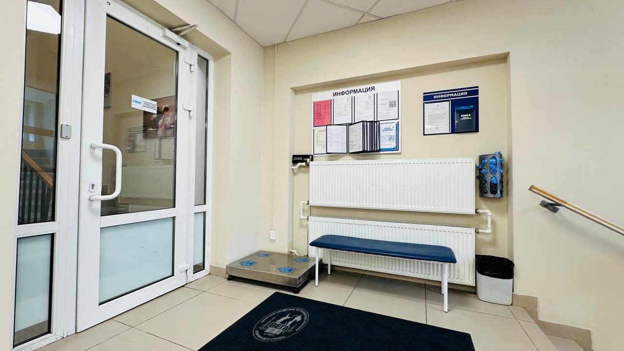 Ветеринарная клиника «Вега» на Пулковской