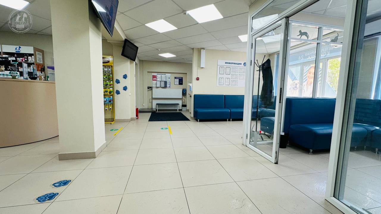 Ветеринарная клиника «Вега» на Пулковской