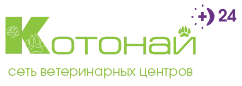 Ветеринарная клиника «Котонай» на Костюшко
