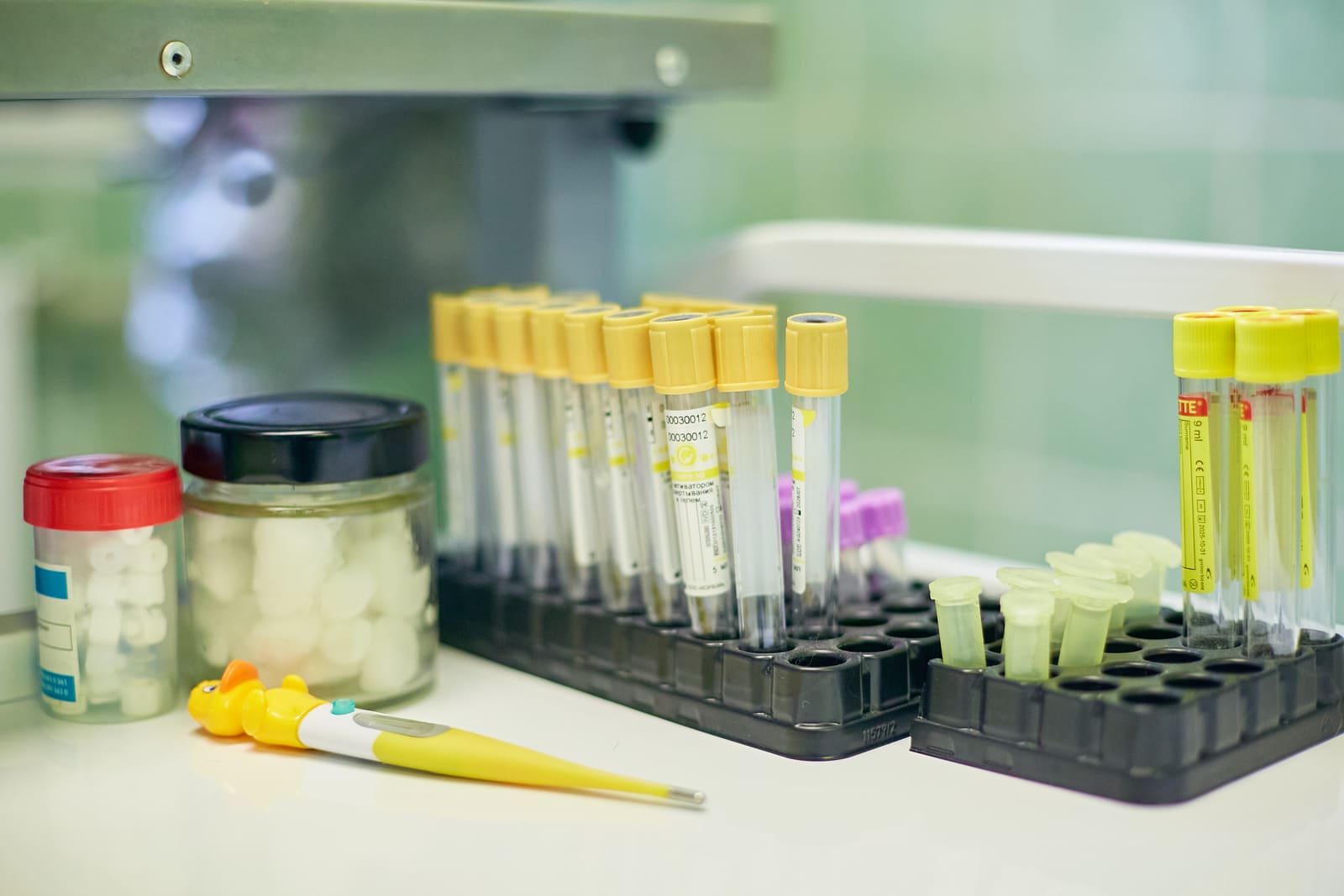 Ветеринарная клиника «Котонай» на Костюшко