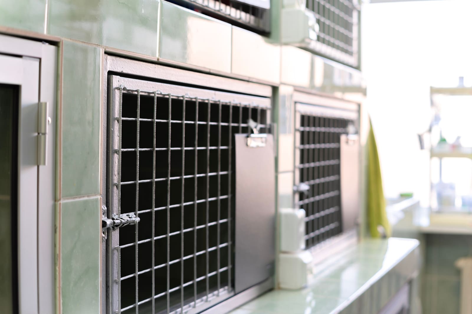 Ветеринарная клиника «Котонай» на Костюшко