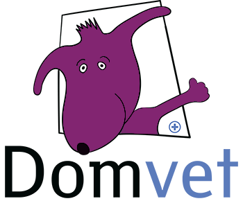 Ветеринарная клиника «Домвет» на Ленинском