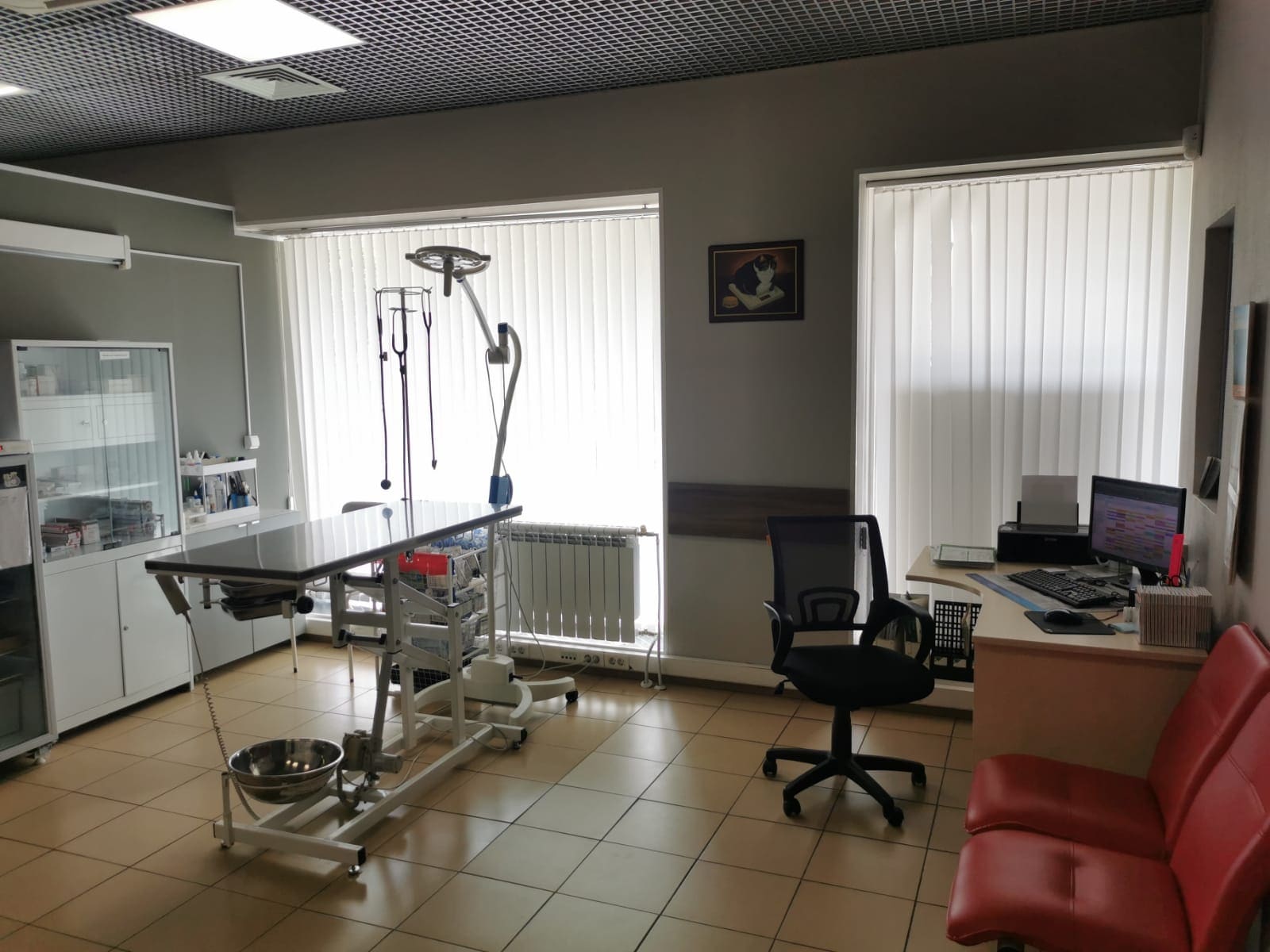 Ветеринарная клиника «Домвет» на Ленинском