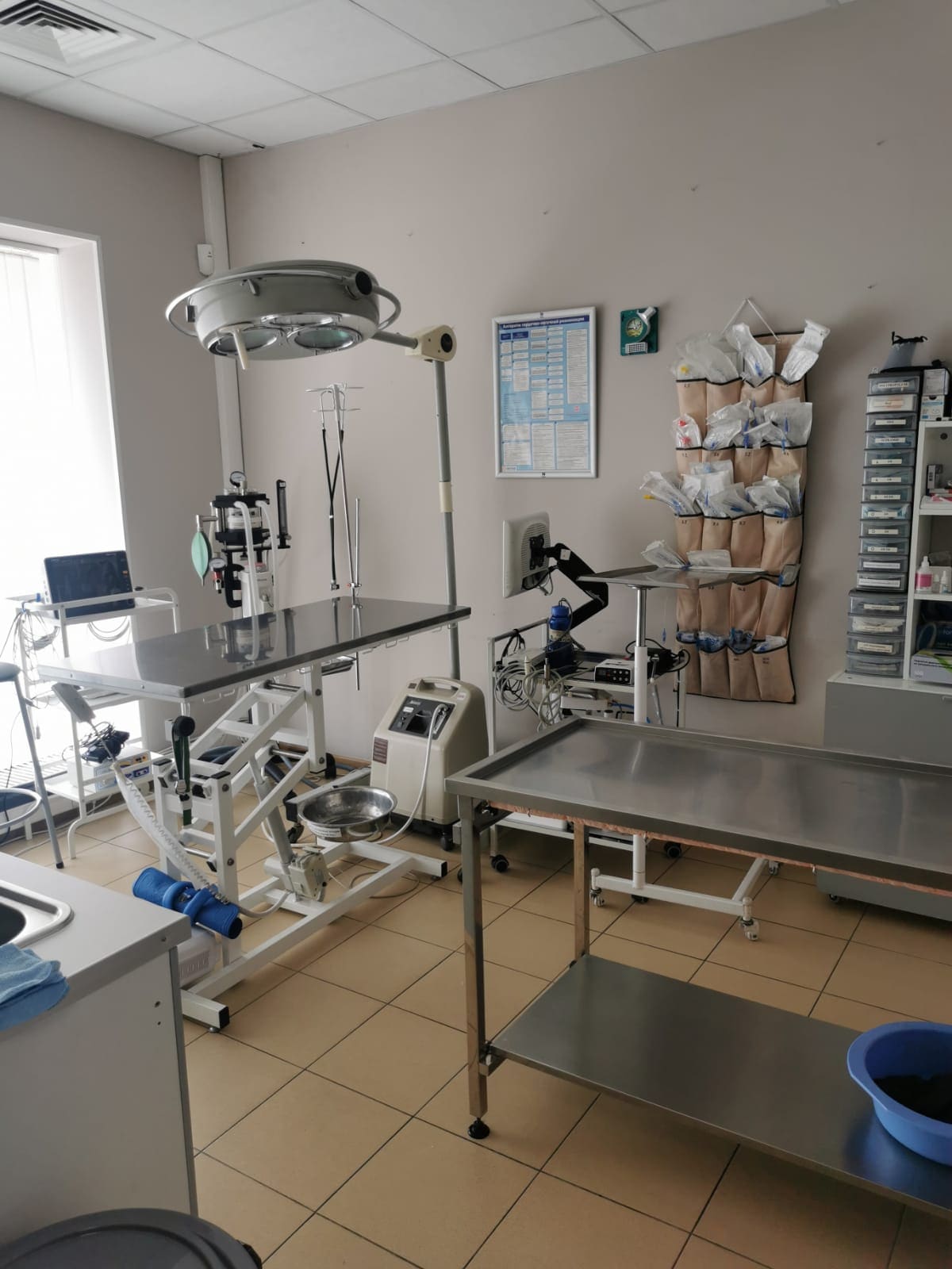 Ветеринарная клиника «Домвет» на Ленинском