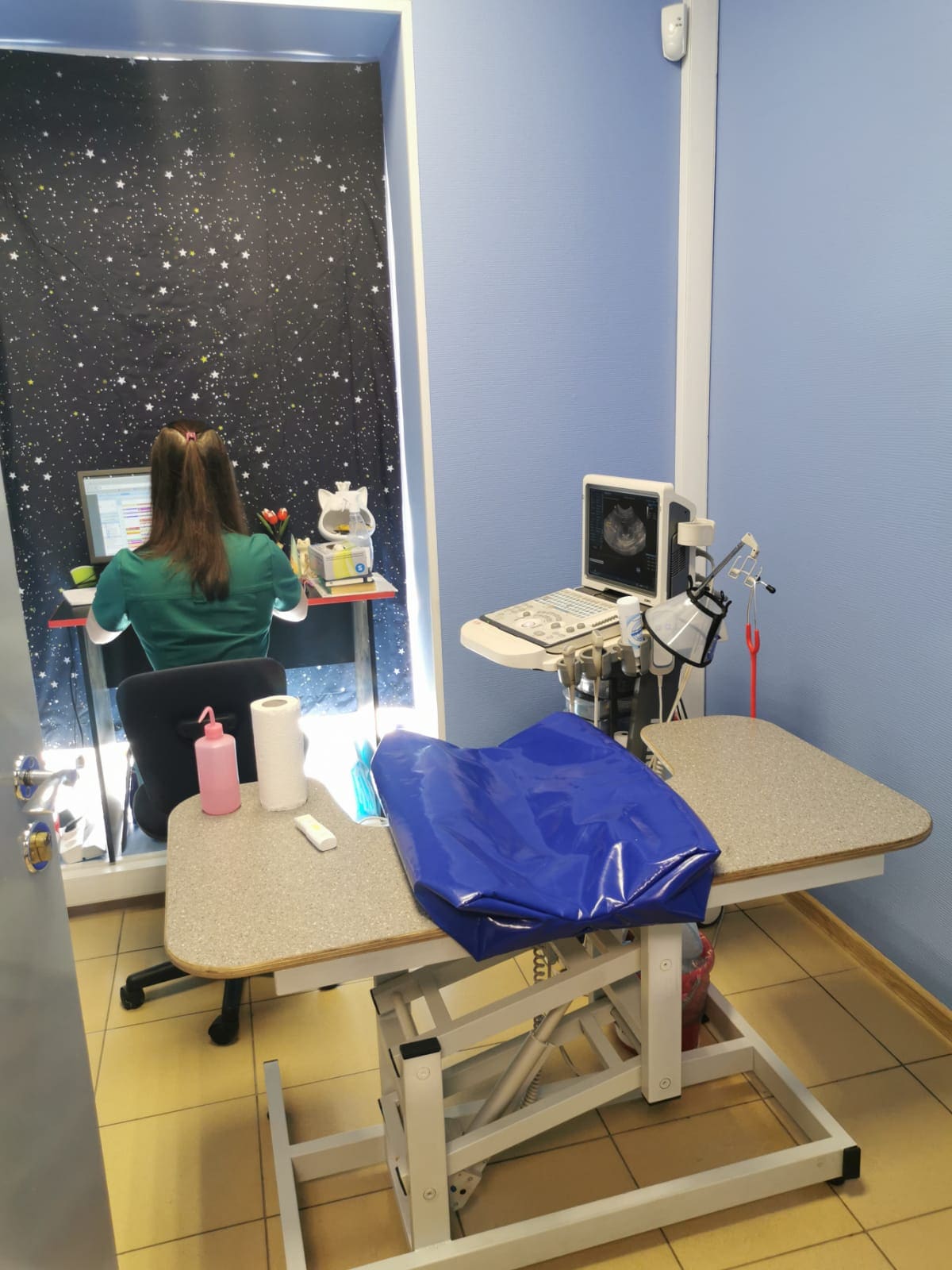 Ветеринарная клиника «Домвет» на Ленинском