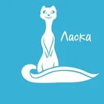 Ветеринарная клиника «ЛаскаВет» на проспекте Победителей, Минск