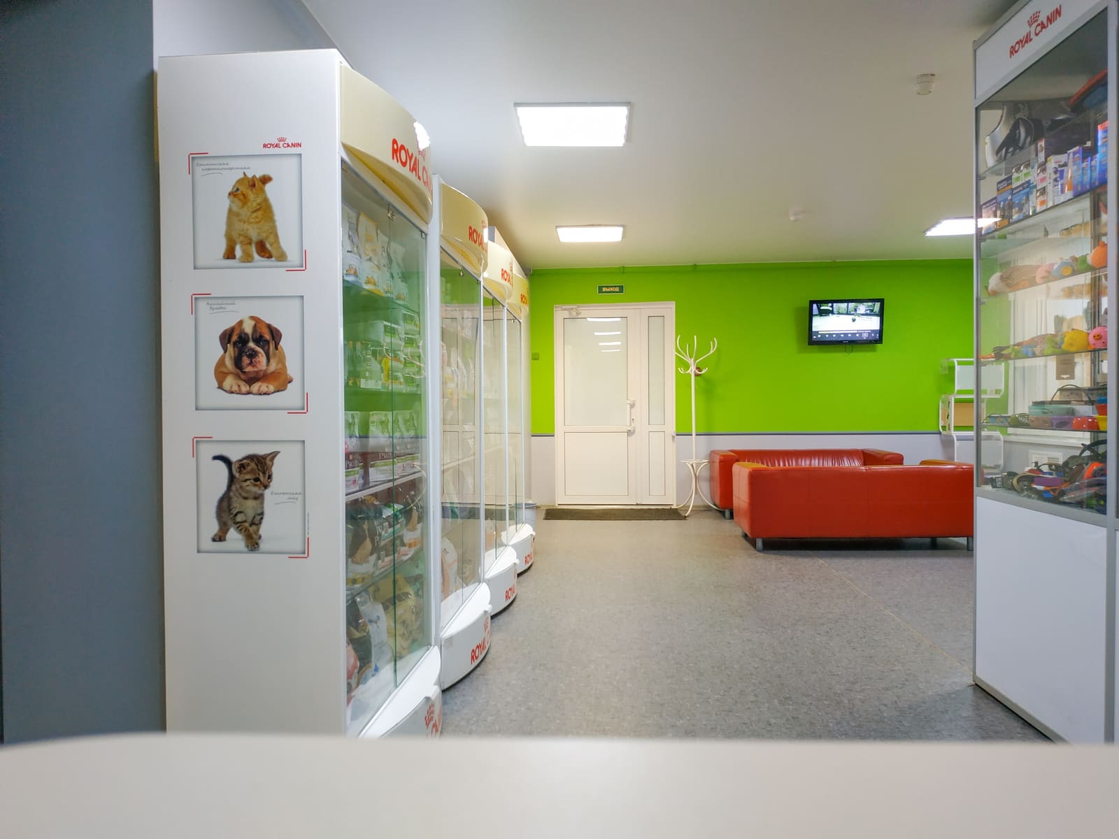 Ветеринарная клиника «ЭЛВЕТ» на Гагарина