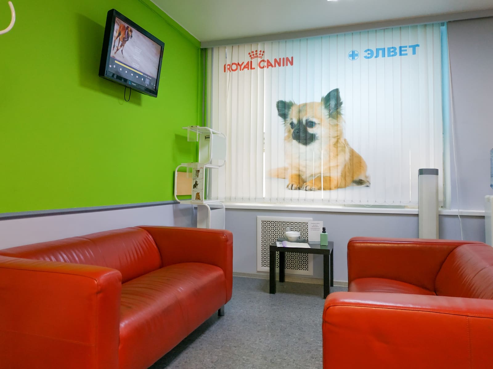 Ветеринарная клиника «ЭЛВЕТ» на Гагарина