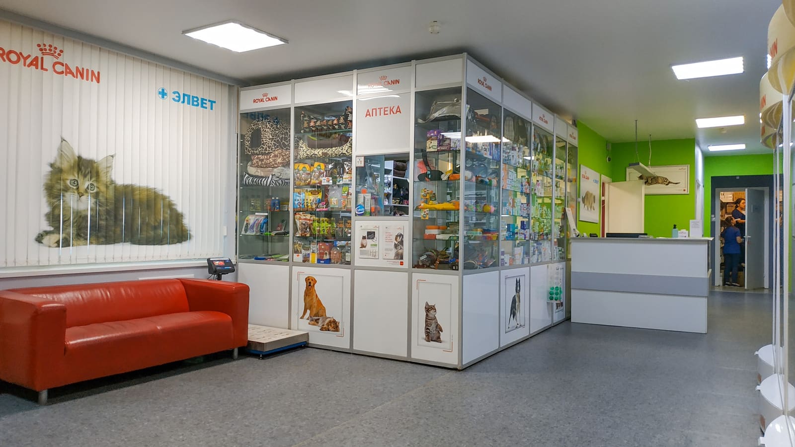 Ветеринарная клиника «ЭЛВЕТ» на Гагарина