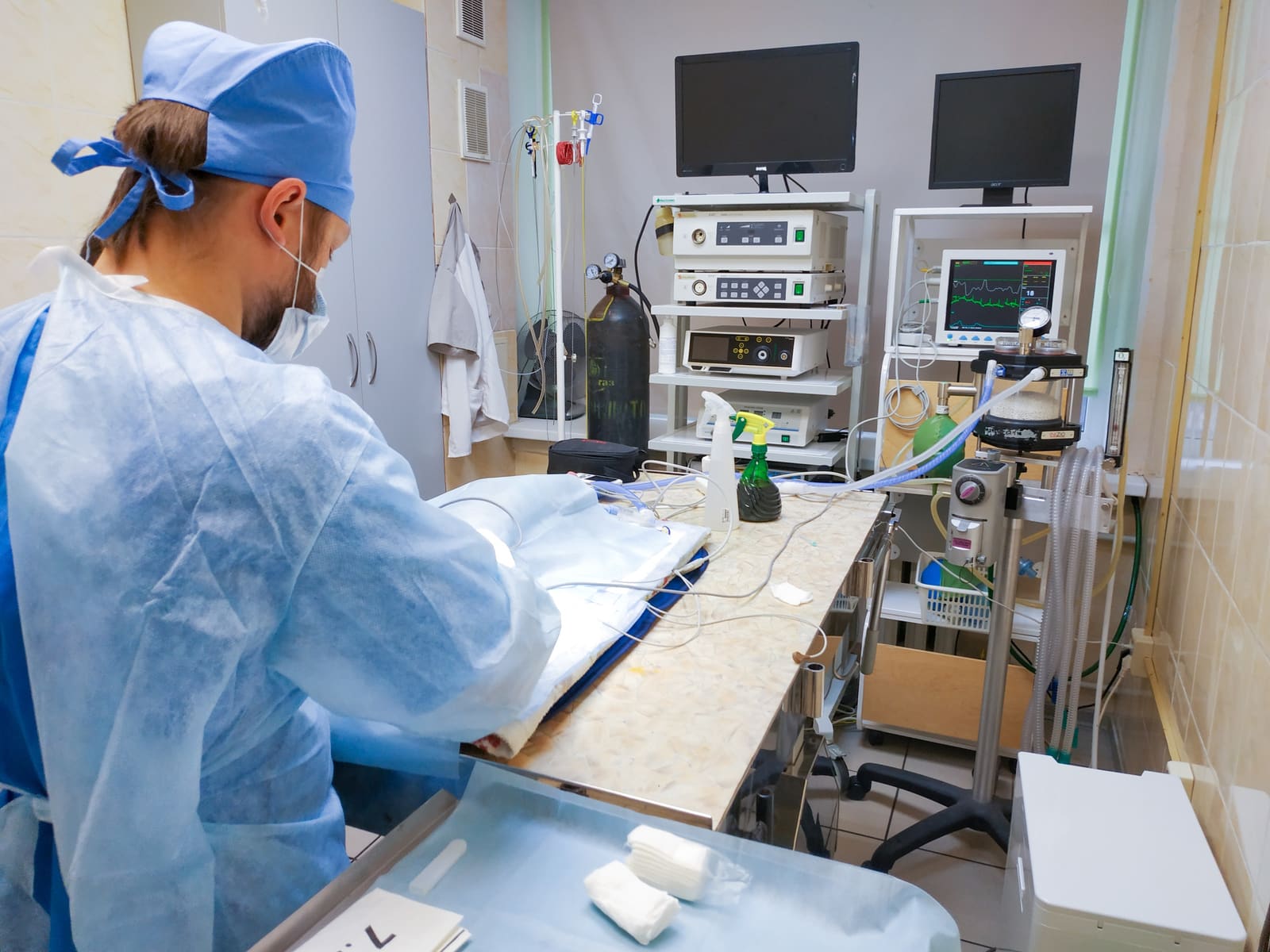 Ветеринарная клиника «ЭЛВЕТ» на Гагарина