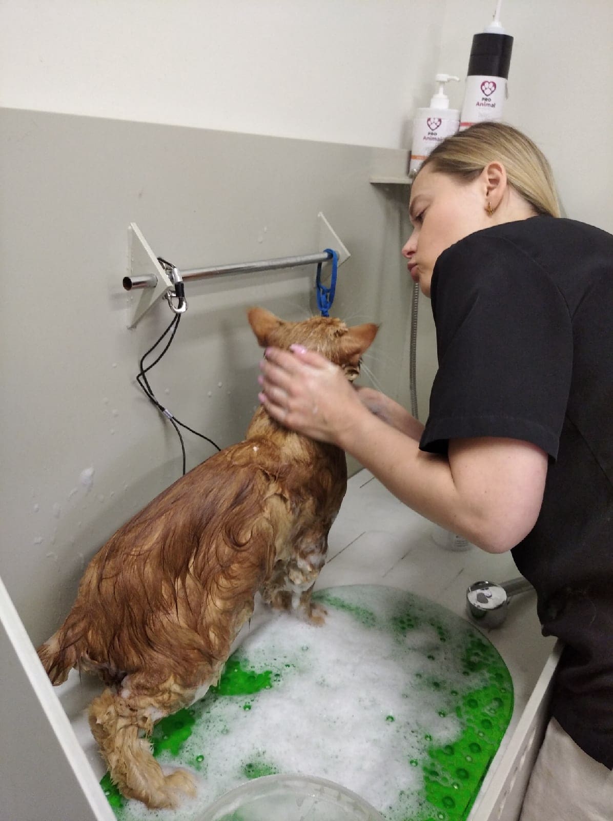 Груминг-салон «Зверюльня» на Адмирала Трибуца