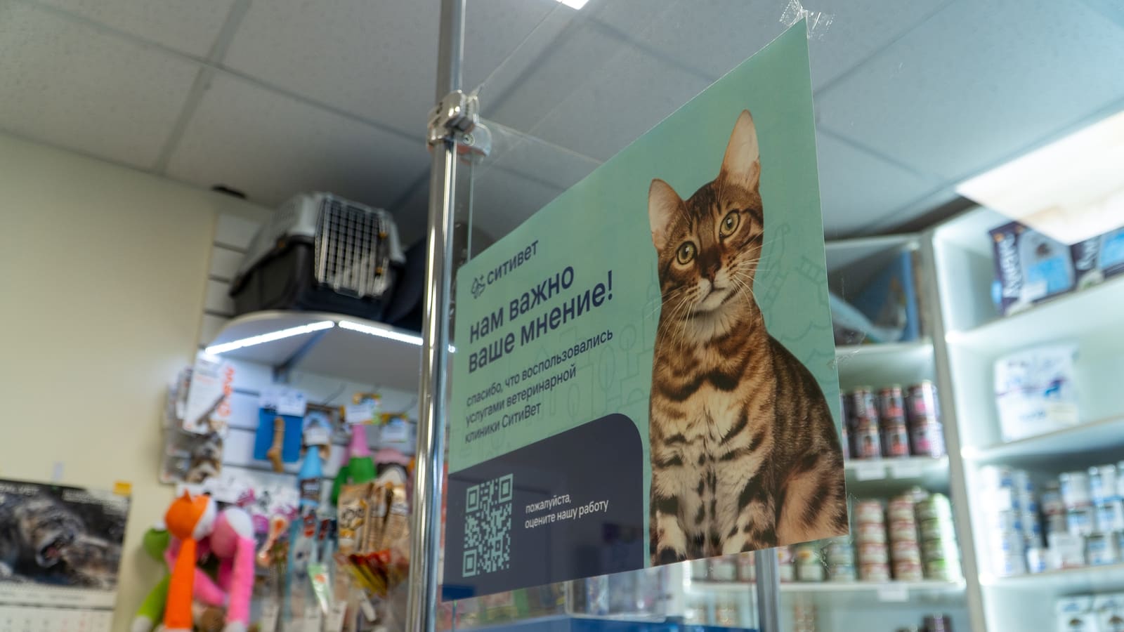 Ветеринарная клиника «СитиВет» на Зины Портновой